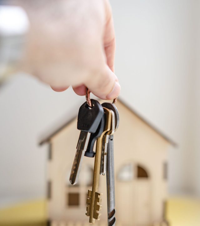 pexels-oleksandr-p-7599735