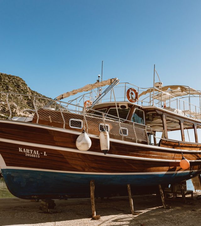 pexels-roman-odintsov-6585322